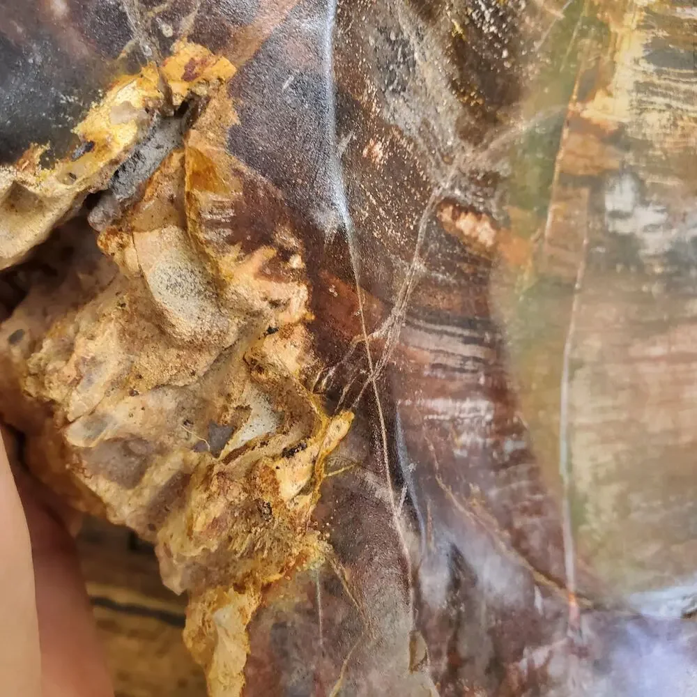 13lbs+ Red Brown XL Petrified Wood Fossilized Bowl 6210 grams